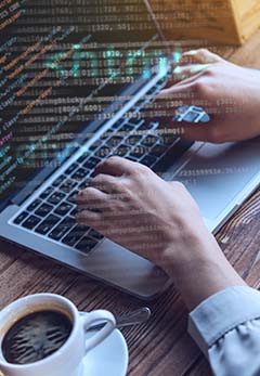 Website Development